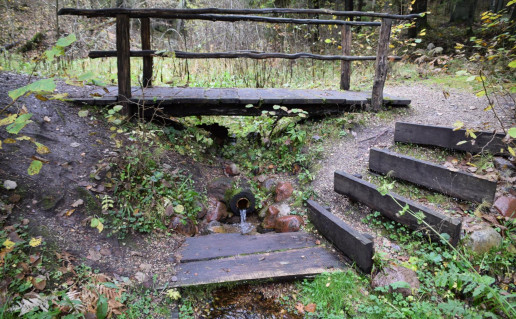 5_SaltinisLaumės pėda (1).jpg